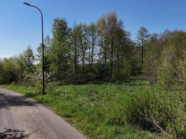Grunt na sprzedaż w Żary, Lubuskie