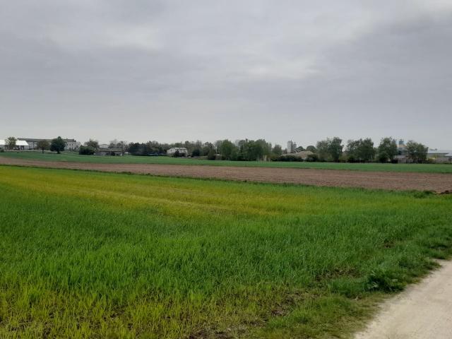 Grunt na sprzedaż w Płock, Mazowieckie
