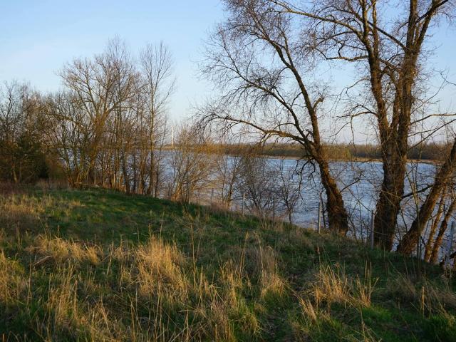 Grunt na sprzedaż w Płock, Mazowieckie