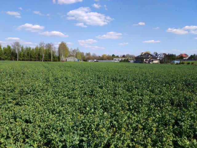 Grunt na sprzedaż w Piotrków Trybunalski, Łódzkie