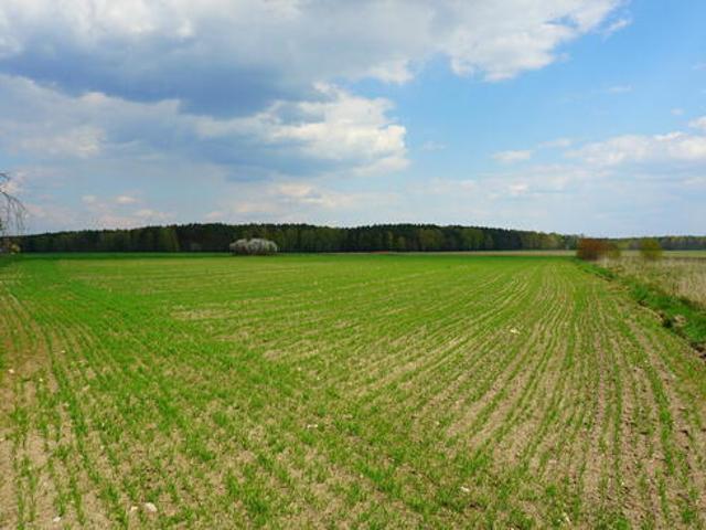 Grunt na sprzedaż w Opoczno, Łódzkie