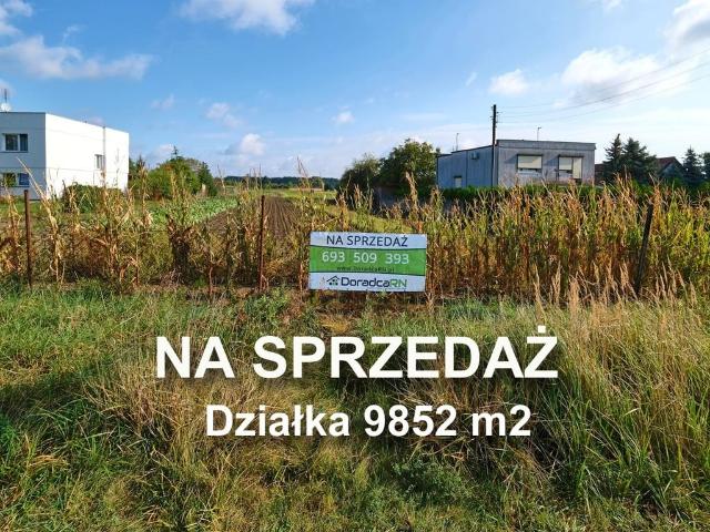 Grunt na sprzedaż w Szczepankowo-Spławie-Krzesinki, Poznań