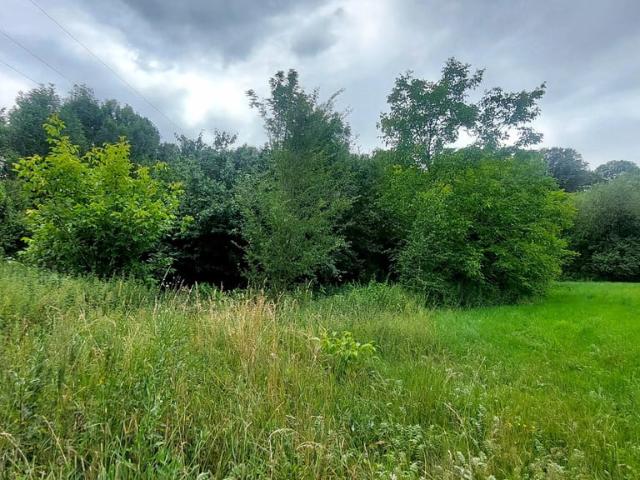 Grunt na sprzedaż w Ustroń, Śląskie