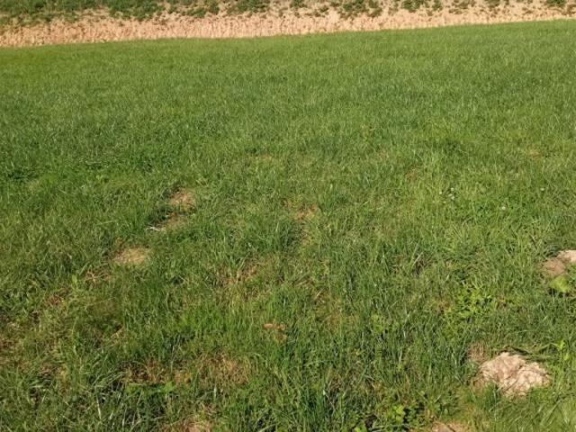 Grunt na sprzedaż w Przybyszówka Górna, Rzeszów