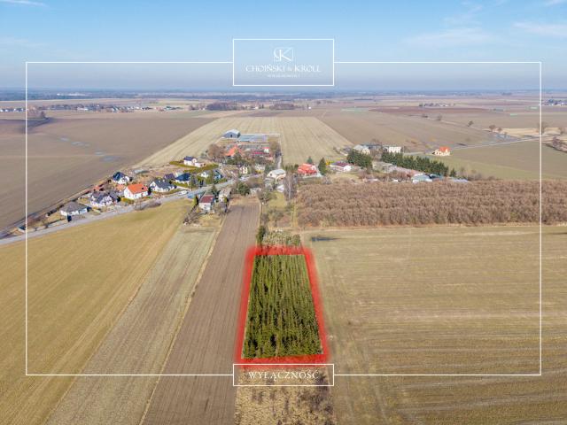 Grunt na sprzedaż w Łowęcin, Wielkopolskie