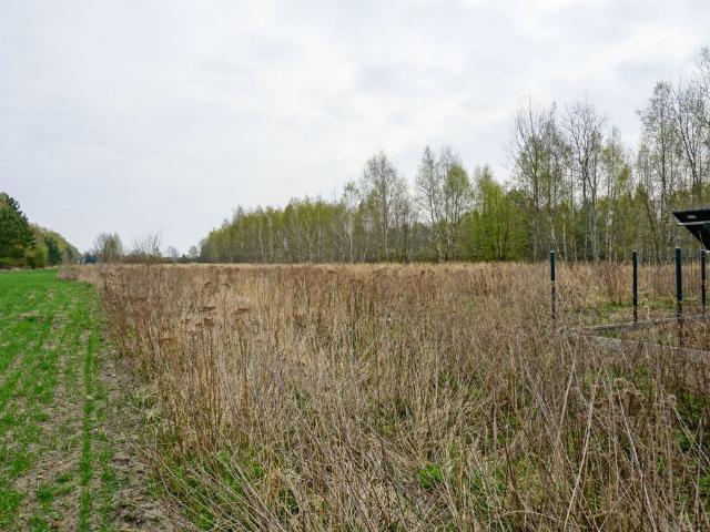 Grunt na sprzedaż w Skierniewice, Łódzkie