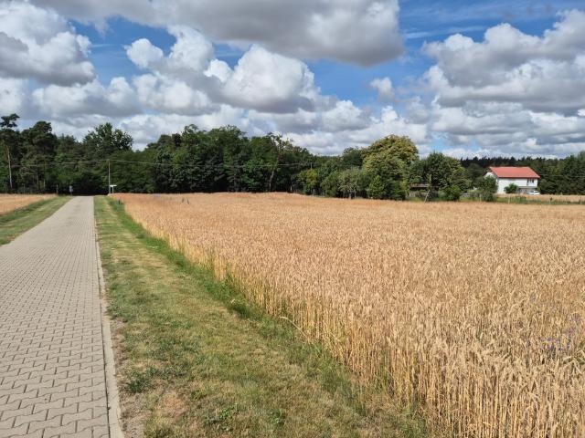Grunt na sprzedaż w Radzyny, Wielkopolskie