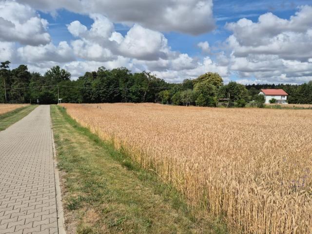 Grunt na sprzedaż w Radzyny, Wielkopolskie