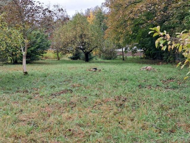 Grunt na sprzedaż w Koluszki, Łódzkie