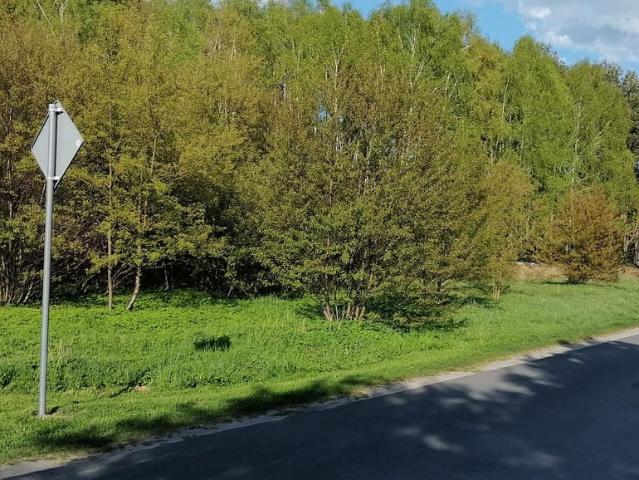 Grunt na sprzedaż w Huta Dłutowska, Łódzkie