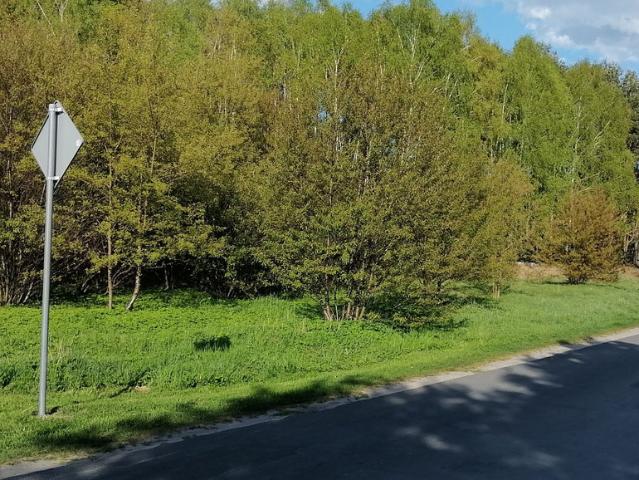 Grunt na sprzedaż w Huta Dłutowska, Łódzkie