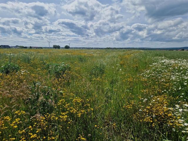 Grunt na sprzedaż w Puck, Pomorskie
