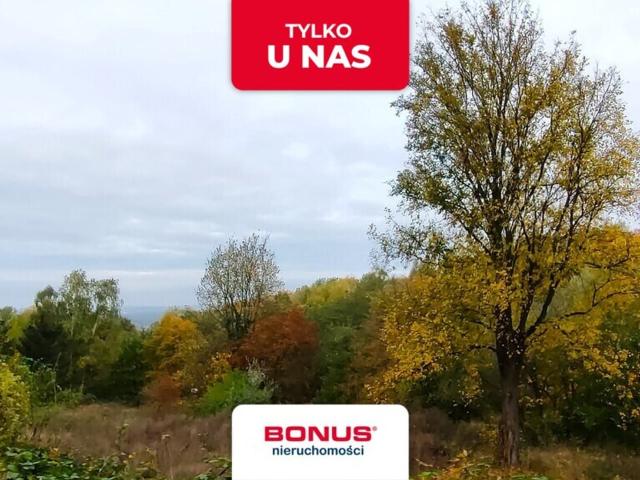 Grunt na sprzedaż w Szczecin, Zachodniopomorskie