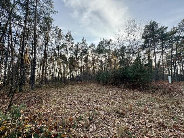 Grunt na sprzedaż w Łódzkie