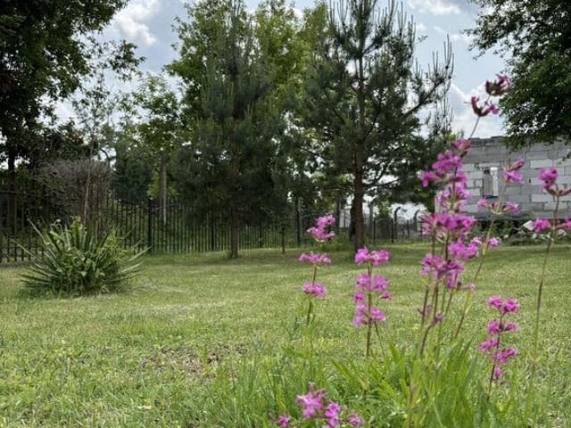 Grunt na sprzedaż w Toruń, Kujawsko-pomorskie