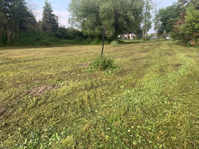 Grunt na sprzedaż w Toruń, Kujawsko-pomorskie