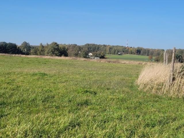 Grunt na sprzedaż w Tychy, Śląskie