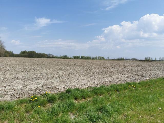 Grunt na sprzedaż w Brzeziny, Łódzkie
