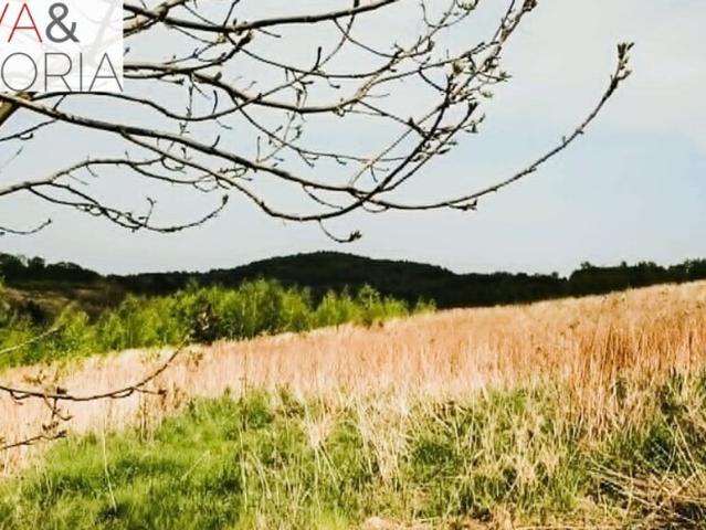 Grunt na sprzedaż w Wałbrzych, Dolnośląskie