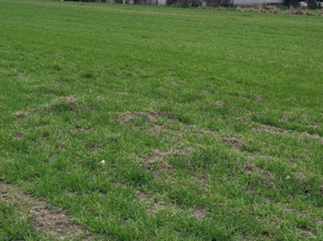 Grunt na sprzedaż w Lędziny, Śląskie