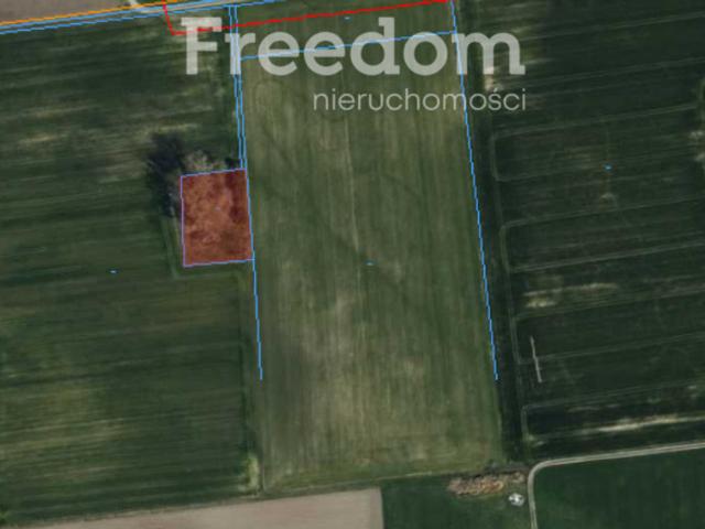 Grunt na sprzedaż w Tłuchowo, Kujawsko-pomorskie
