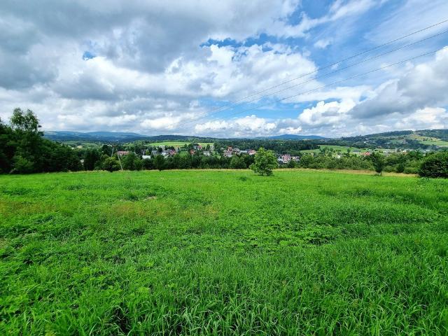 Grunt na sprzedaż w Jordanów, Małopolskie