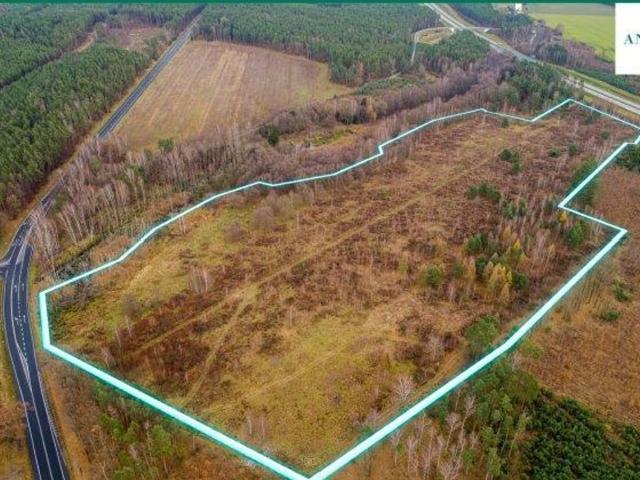 Grunt na sprzedaż w Pieńsk, Dolnośląskie