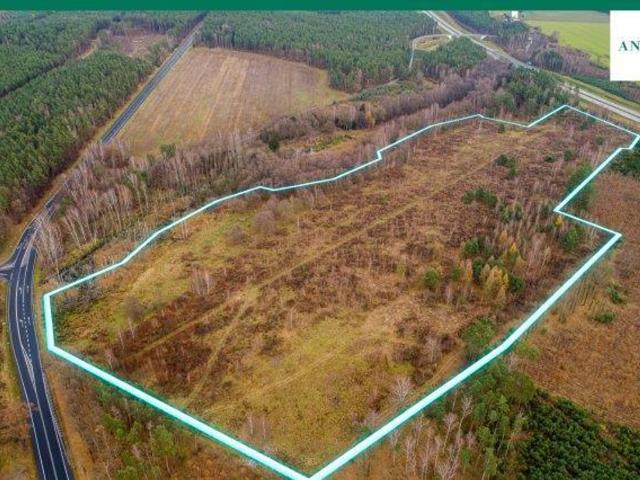 Grunt na sprzedaż w Pieńsk, Dolnośląskie