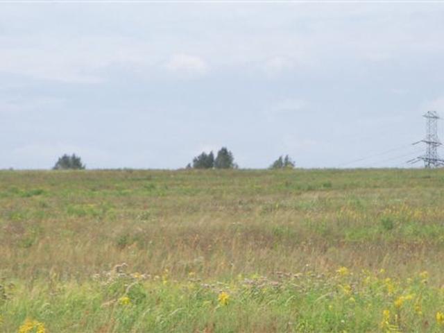Grunt do wynajęcia w Chrzanów, Małopolskie