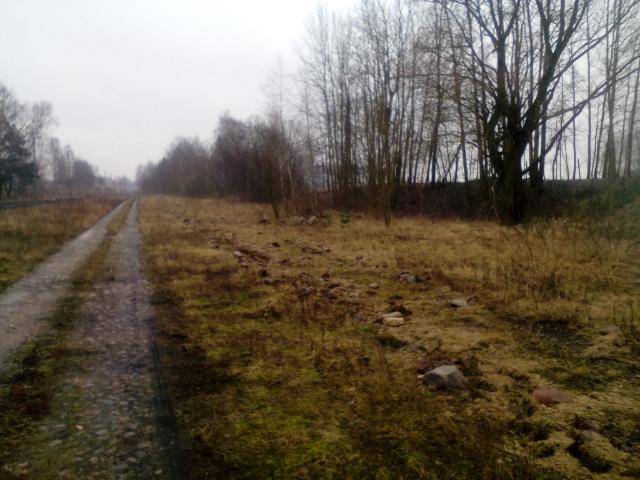 Grunt do wynajęcia w Dąbrowa Białostocka