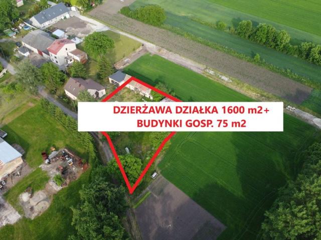 Grunt do wynajęcia w Siechnice Grunt do wynajęcia w Siechnice