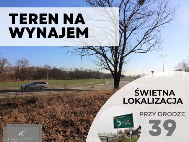 Grunt do wynajęcia w Namysłów, Opolskie