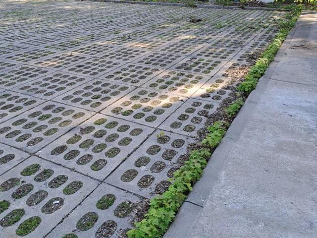 Grunt do wynajęcia w Chylonia Przemysłowa, Gdynia