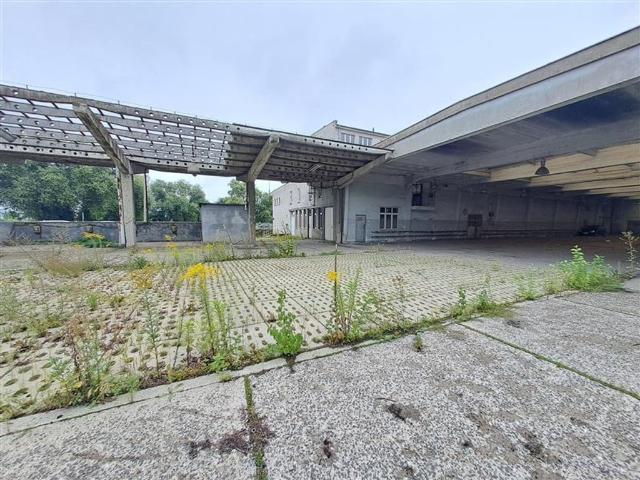 Grunt do wynajęcia w Gdynia, Śródmieście