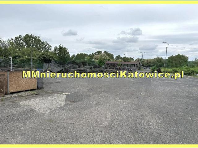 Grunt do wynajęcia w Katowice, Śląskie