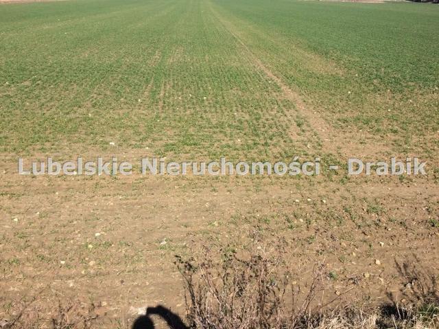 Grunt do wynajęcia w Lublin, Lubelskie