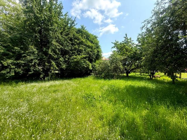 Grunt do wynajęcia w Piekary Śląskie, Śląskie