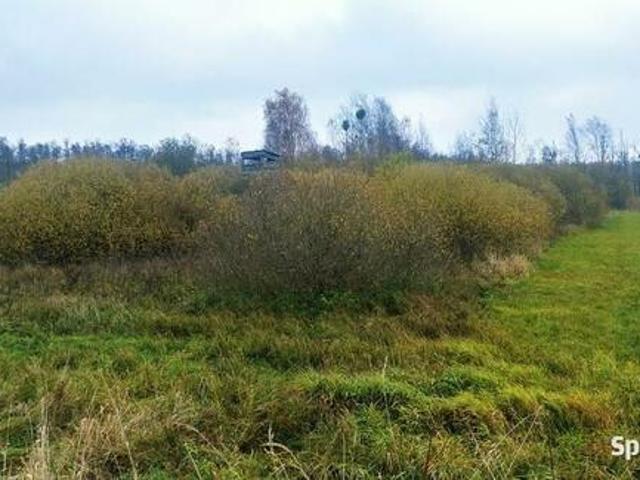 Grunt na sprzedaż w Pasym, Warmińsko-mazurskie