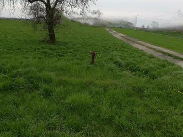 Grunt na sprzedaż w Izbica Kujawska, Kujawsko-pomorskie