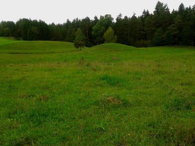 Grunt na sprzedaż w Filipów, Podlaskie