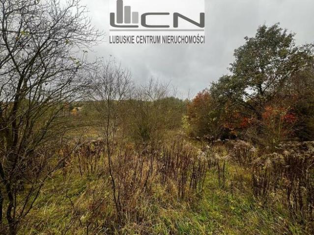 Grunt na sprzedaż w Gorzów Wielkopolski, Lubuskie