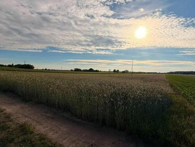 Grunt na sprzedaż w Słupca, Wielkopolskie