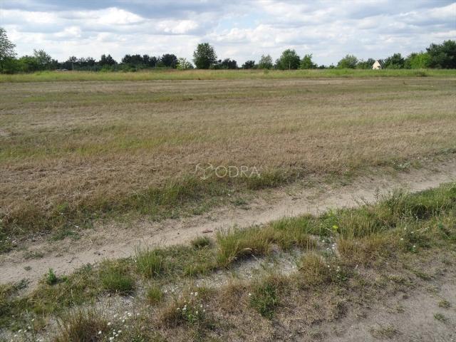 Grunt na sprzedaż w Jelcz-laskowice, Dolnośląskie