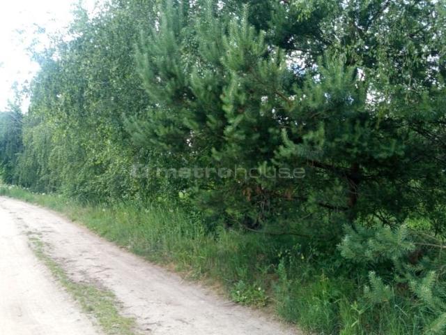 Grunt na sprzedaż w Radzewo, Wielkopolskie
