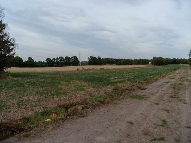 Grunt na sprzedaż w Zgierz, Łódzkie