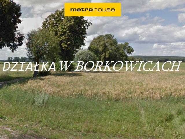 Grunt na sprzedaż w Borkowice, Wielkopolskie