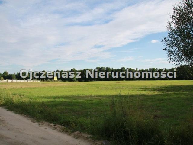 Grunt na sprzedaż w Skępe, Kujawsko-pomorskie