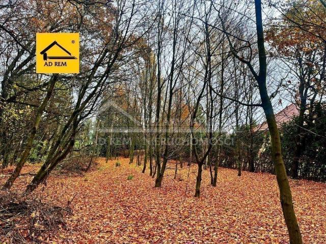 Grunt na sprzedaż w Kozubszczyzna, Lubelskie