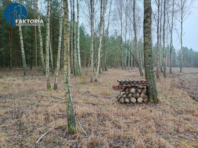 Grunt na sprzedaż w Narewka, Podlaskie