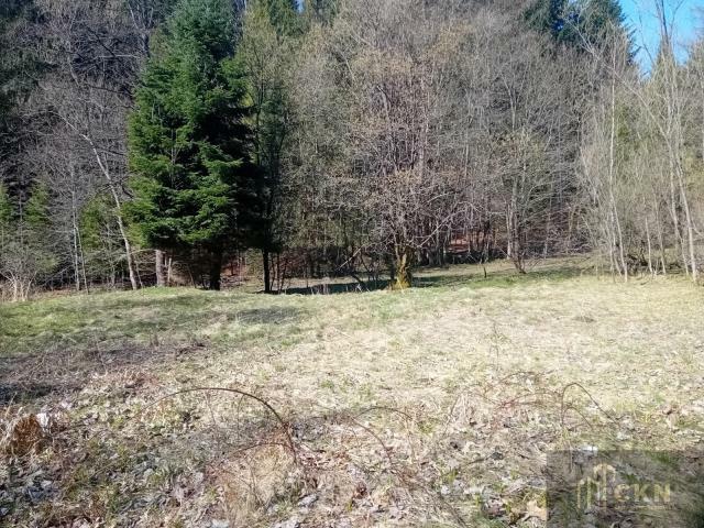 Grunt na sprzedaż w Zawoja, Małopolskie